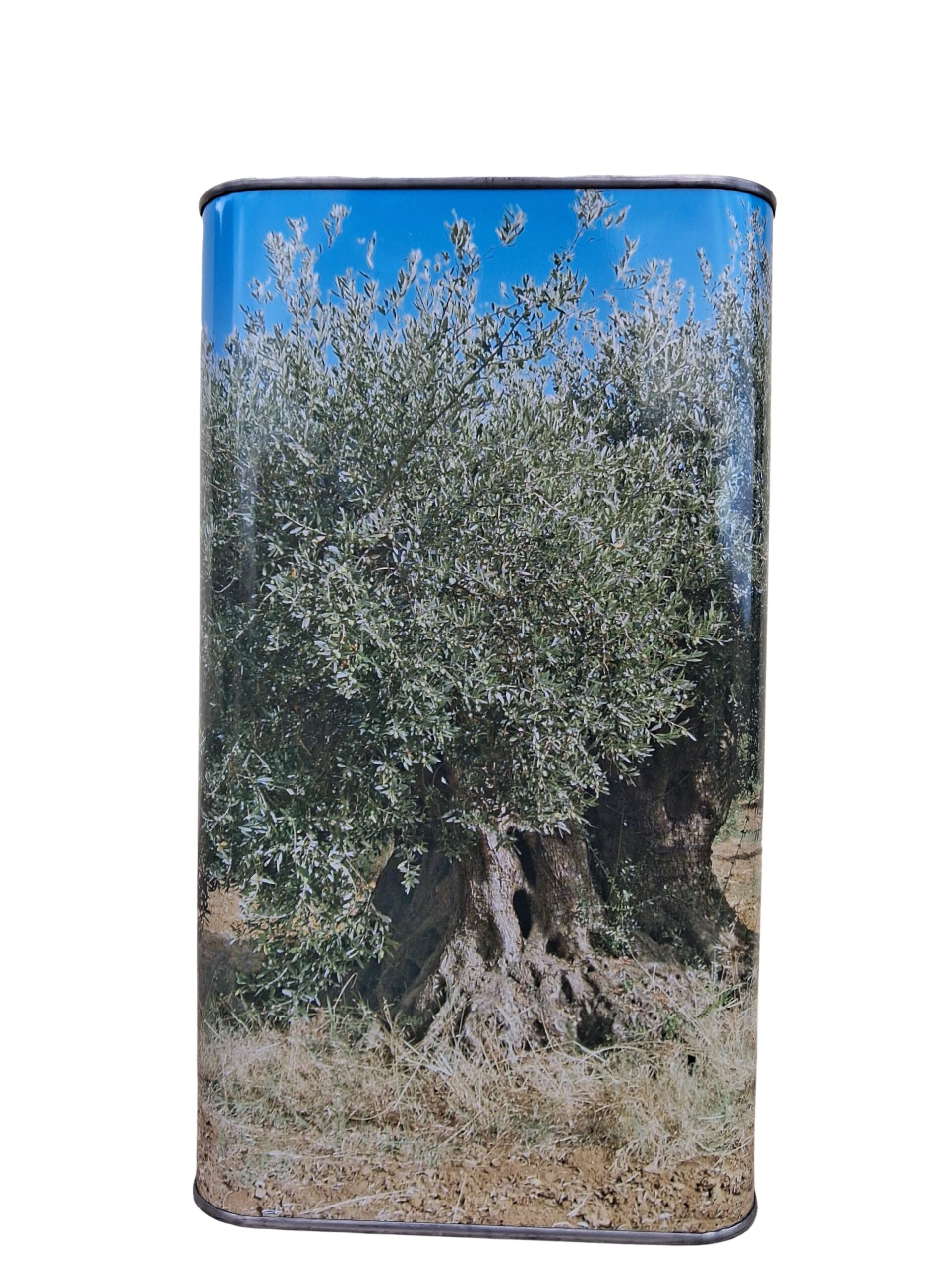Olio extra vergine d’oliva estratto a freddo da 3 litri